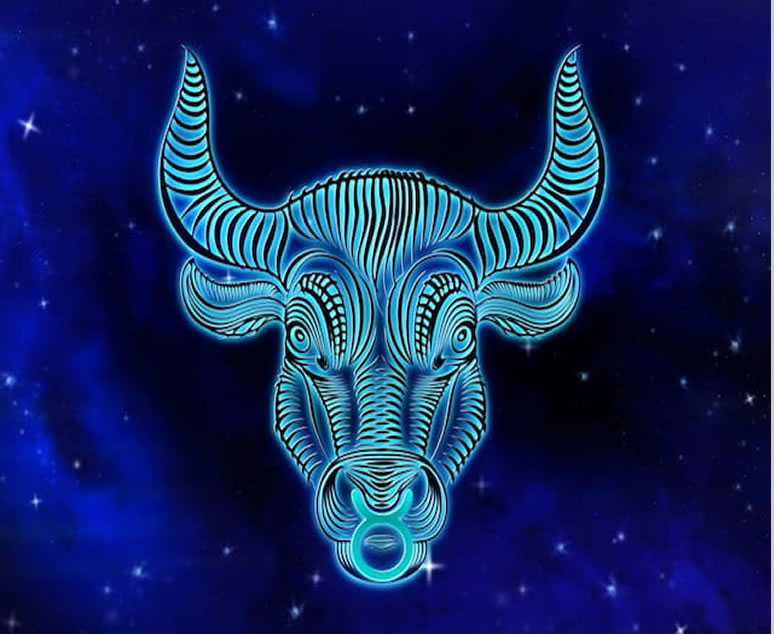 Touro no amor e mapa astral